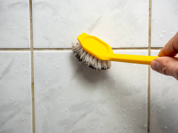 Best Affordable Mold Removal  in Muscatine, IA